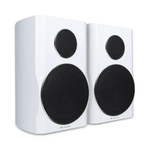 High Quality Professional 8 Inch Black White Audio Sound Equipment Speakers KTV Karaoke Subwoofer Speakers
