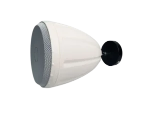 High Sensitivity 20W 30W 5.5 Inch Coaxial Pendant Ball Speaker with Tweeter for Ceiling Wall Mount Background Music