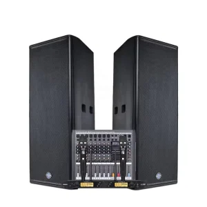 High end MDF Wooden Box Active Speakers Dual 15 Inch Professional Sound System Outdoor Professional Stage Audio Speaker