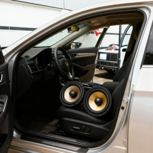 High quality Fiao Q 165 ABS Car Speakers Coaxial 2 way 12V 100W 6.5 inch Customizable Size