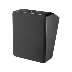 Home Theater Karaoke Speaker 10 Inch Home Theater Speaker ODM OEM Factory Customization Surround Speaker