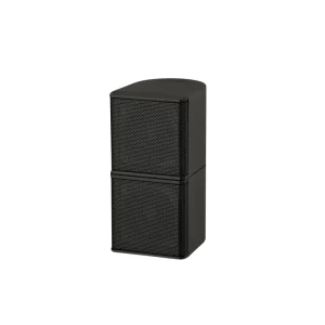 Home Theater Karaoke Speaker 2 Inch OEM ODM Factory Customization System Speaker