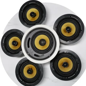 Home Theater Smart Speakers System Ceiling Type Active Subwoofer 5 Surround Sound Wireless WIFI for Bluetooth Multi Room