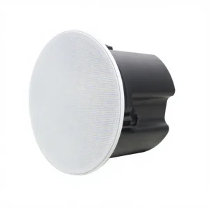 Home Theatre Ceiling In Wall Invisible Speakers Professional Audio Active Ceiling Speaker 2 way Ceiling Speaker