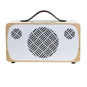 Hot Selling Portable Wooden Speaker with Battery for Outdoor Activities