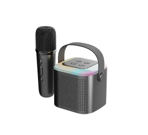 Hot Selling for V5.1 Wireless Handheld Microphone with 10m Range TF Card Support 5W Speaker for Party Use