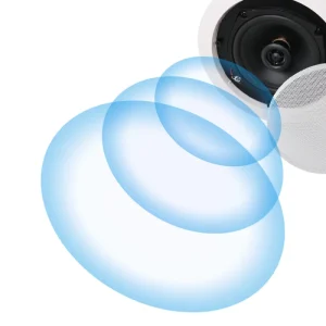 IP Network Ceiling Speaker POE Powered Coaxial Mount 2.0 Channel 30 50W APP Supported Public Address System Home Theater