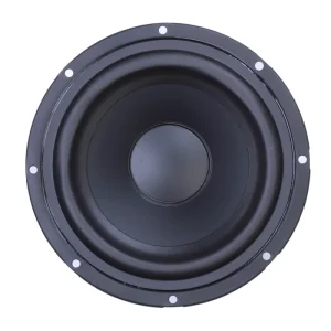 IPX6 Waterproof 25 Inch 30 Inch Tweeter and Woofer Units for Outdoor Car Home Speakers