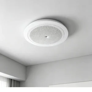 Indoor Commercial Ceiling Speaker 3-6W 70-110V 90dB Ceiling Speaker for Villa Lobby BGM System