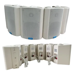 Indoor Wall IP Speaker Series for School Hospital Mosque Hotel Conference Room Wall Hanging Speaker 30-60W