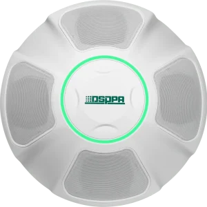 Intelligent Teaching Speaker IP Teaching Speaker Classroom Ceiling Speaker