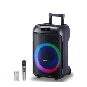 JBR-1205 12-Inch Super Bass Wireless Karaoke Speaker with RGB Light Active Woofer AUX for Outdoor Parties Trolley