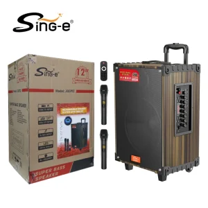 JQS219X Professional Audio Speaker Wooden DJ Box with Wireless Bluetooth TWS Mic RC Karaoke Set for Parties