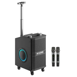 K21SE Speaker Box Karaoke System Trolley Design Portable Woofer Speaker Music Player Bass Speaker with Monitor