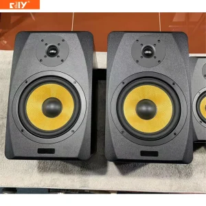 K8 Active Monitor Speaker 8 Inch Powered Studio Monitor a Pair with Bluetooth Customizable for Classroom Home Karaoke