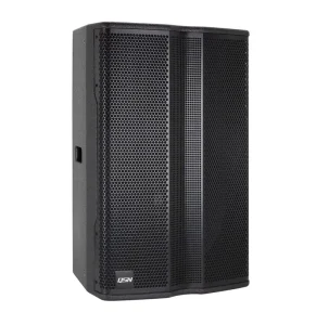 KP5215 15 Inch 2 Way Full Range Passive Speaker Professional Audio Loudspeaker for Live Events & Club