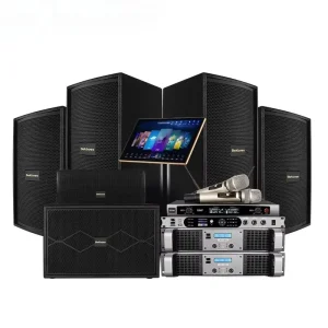 KTV Audio Amplifier Speaker Set Company Showroom Karaoke Professional Sound Equipment Speakers
