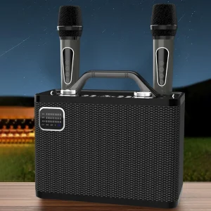 KTV Built in Speakers Bluetooth Connectivity Coaxial Input Portable Karaoke Machine with Two Wireless Microphones