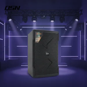KX212 12 Inch Professional KTV Speakers High Fidelity Sound Quality 8ohm Wooden Unique Design Passive for Outdoor