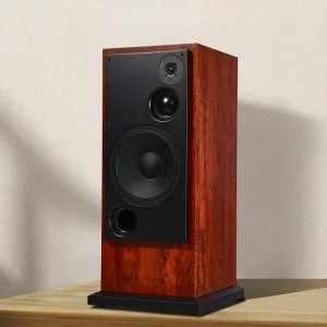 KYYSLB 12 Inch 100 200W Home Living Room Bookshelf Speaker Home Theater Subwoofer Speaker High Fidelity Hifi Fever Sound