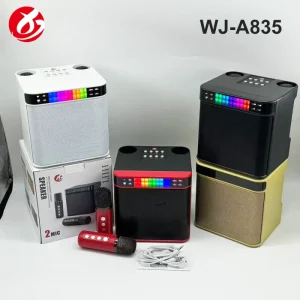 Karaoke Machine Mini Portable Bluetooth Speaker with 2 Wireless Mics for Home Party