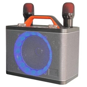 Karaoke Machine With Two Wireless Microphones Portable Bluetooth Speaker LED Lights Supports TF Card USB AUX for Party