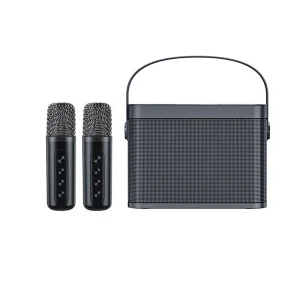 Karaoke Machine with 2 Wireless Microphones Portable Bluetooth Speaker with HD Sound PA System Support Echo and Vocal Cut USB SD