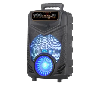 Karaoke Speaker 8 Inch Woofer Speaker Remote Control Color LED Outdoor TWS Party Speaker