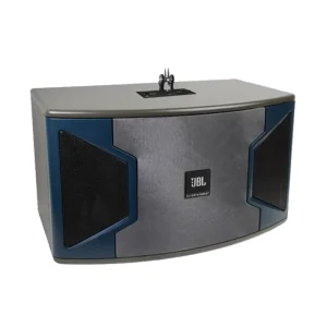 Ki310G Ki312G Full Range Home Party KTV Professional Card Pack Entertainment Room Speakers Conference Wall Mounted Speakers