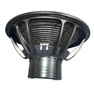 LS 21 Inch Subwoofer Loudspeaker 3000W PA Sound Line Array Outdoor Unit 33 1.2KHz Frequency Response 8 Ohm Impedance Metal