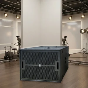 LS3 18 Inch Ultra low Bass 600W Mono 8 Ohm Wood Shell Floor Standing Speaker LW118D 38Hz 300Hz Frequency Response