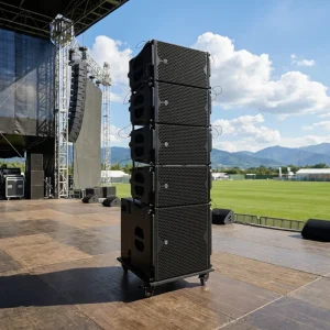 LS3 Dual 10 Inch Passive Line Array Speaker LA210 Model Wood Shell Rectangle Mono Audio 3 Year Warranty 500W 16 Sensitivity