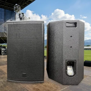 LS3 FS Series Waterproof 10 inch Wood Shell 8.0 Ohm Impedance 3 Year Warranty Point source Speaker