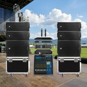 LS3(4+2) Dual 10 Inch Passive Wood Shell Line Array Speakers LA Series Ferrite Magnet 700W Mono Audio Sensitivity