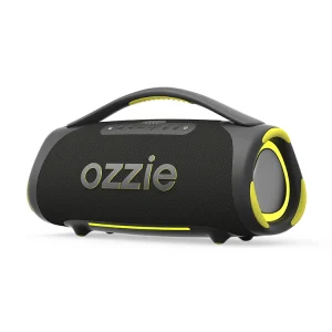 Latest Design Portable Party Box Speaker With Built in Colorful Lights Powerful Loud Sound and Super Bass Black Party Box