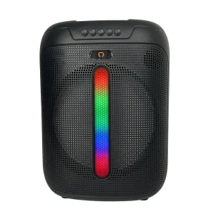 Loud Karaoke Speaker 10W 8 Inch Woofer with Handle Wheels for Community Event Party Speakers