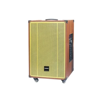 M New Arrival High Quality Bluetooth Portable Wood Wireless Trolley Speaker 15 Inch Bass Subwoofer Speaker