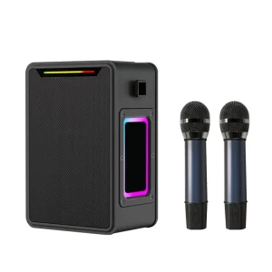 M149 2 Channel Portable 60W Karaoke with Microphones Bluetooth Deep Bass Speaker 3D Stereo Bass Wireless IPX6 RGB
