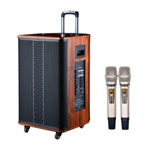 MBA Brand 1000W Outdoors Stage Portable Trolley Big Power Three Way 15 Inch PA Speaker