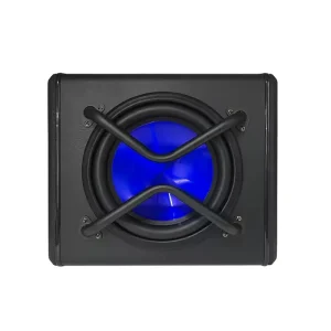 Manufacturer New Style Audio 10 Inch Subs with Box and Amp Car Subwoofer Car Audio Active 10 Bass Woofer Speaker Box