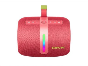 Manufacturer of 30W Lightweight Portable Speaker with Auracast Function
