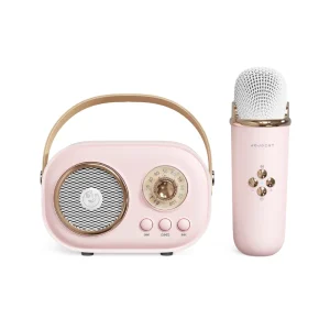 Microphone Karaoke Radio Speaker Music System for Outdoor Children Party Sound Portable Wireless Speakers