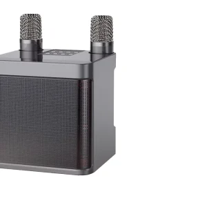 Mini Karaoke Speaker YS-203 Mic Speaker with Microphone Dual Mic Karaoke Set Home Speaker