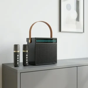 Mini Portable Audio Integrated Microphone Home Singing Karaoke Family Wireless BT Outdoor Portable Speaker with Mics
