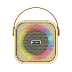 Mini Portable Speaker
