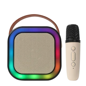 Mini Portable Speakers bluetooth with Microphone Professional bluetooth Speaker Wireless for Indoor Outdoor KalaOK