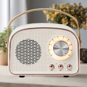 Mini Speaker Old Fashion FM Radio TWS Music Player HiFi Stereo BT 5.0 Adjustable Volume Retro Speaker