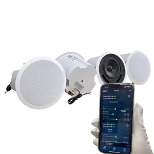Mobile APP MUZO WIIM Control WIFI Smart Ceiling Speaker 5.1 7.1 TV Multi channel and Multi room Cinema Speaker