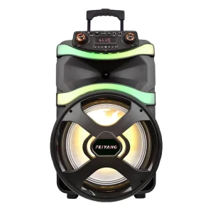 Mobile Street PA Disco Flame Home Cinema Bass Single 12 Inch Outdoor BT WIRELESS USB Amplifier Acoustic Audio Loud Speaker