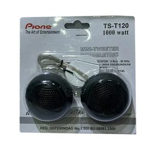 Model Car Tweeter Speaker 1000W TS-T120 Mini Auto Speaker Car Audio Speakers